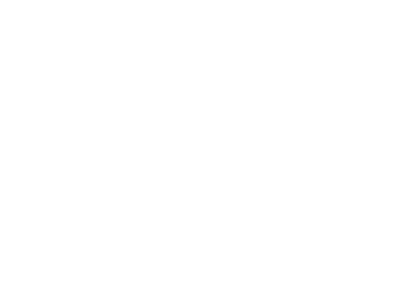 light logo